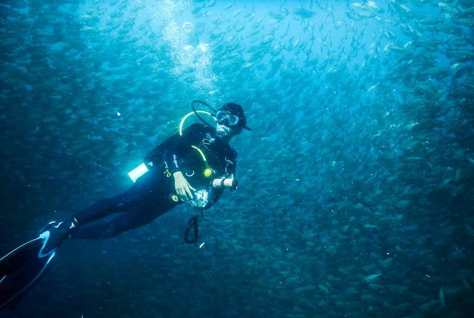 Volunteer Diving in Fish soup