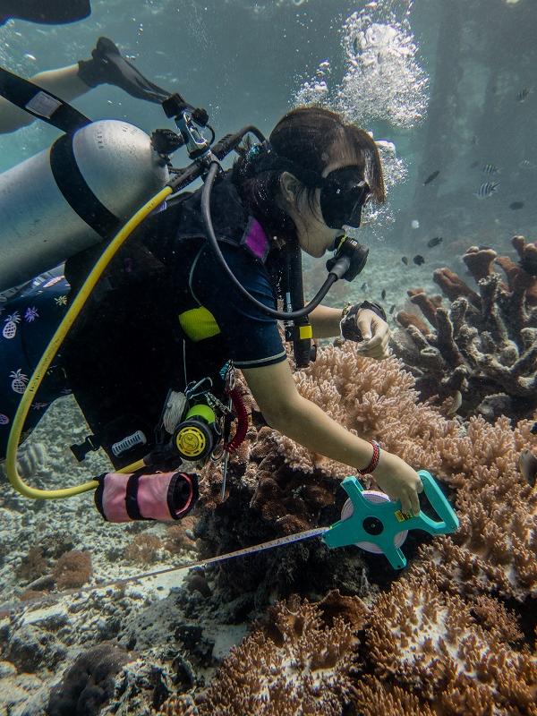 Reef Check Survey Dive