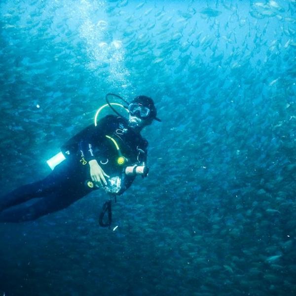 Volunteer Diving in Fish soup