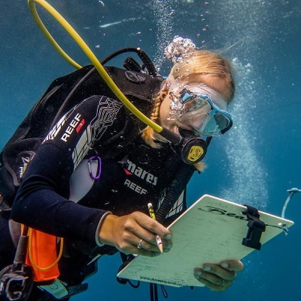 Volunteer on a reef check survey