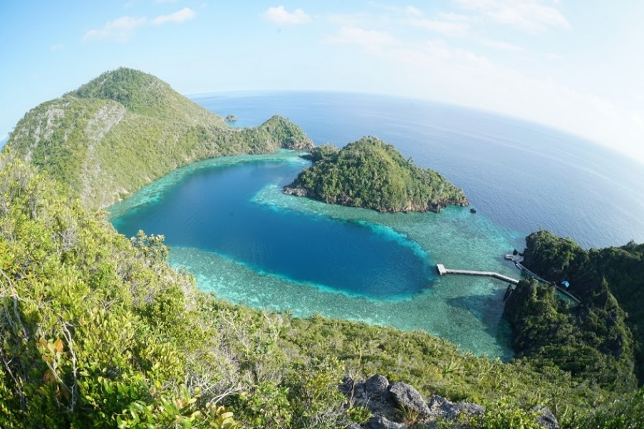 Raja Ampat - Central & Southern, Misool (Raja 10/2022)
